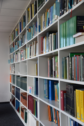 bookshelf in the library